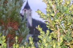 DSC01097_ergebnis