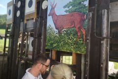 IMG_20220604_164417_ergebnis