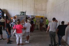 IMG_20220625_162843_ergebnis