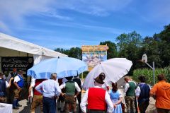 IMG_20220717_122450_ergebnis