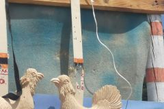 IMG_20220717_125449_ergebnis